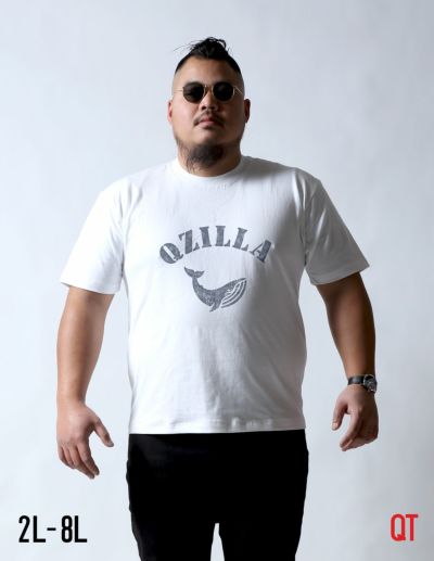 Men's 　Tシャツ　XL〜3L