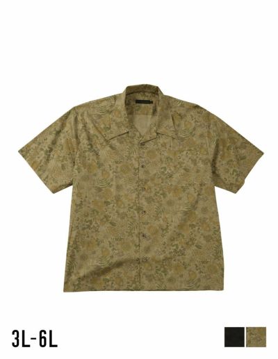 000000005254-01-m.jpg?t=